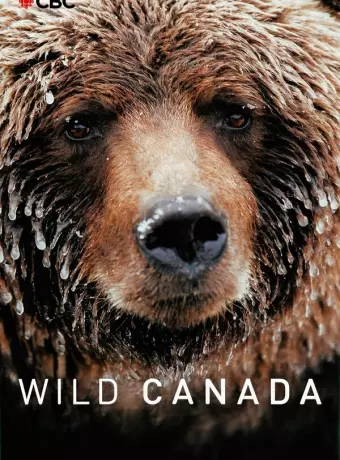Дикая Канада / Wild Canada
