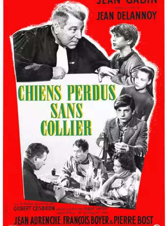 Бродячие собаки без ошейников / Chiens perdus sans collier