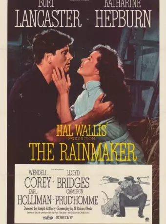 Продавец дождя / The Rainmaker