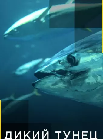 Дикий тунец / Wicked Tuna