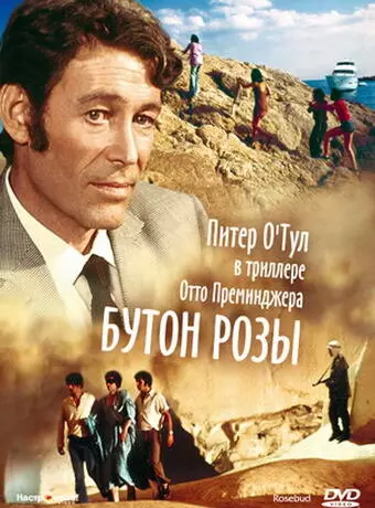 Бутон розы / Rosebud