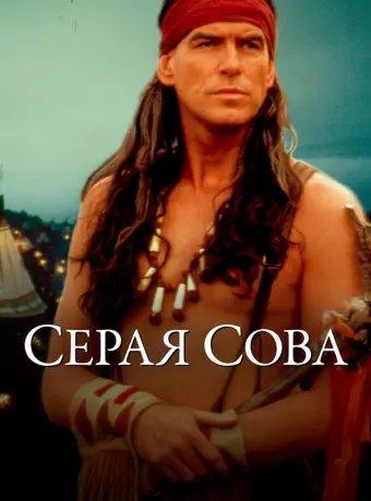 Серая сова / Grey Owl