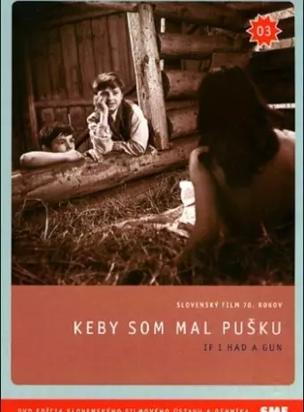 Если бы у меня было ружье / Keby som mal pusku