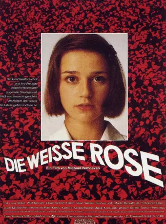 Белая роза / The White Rose