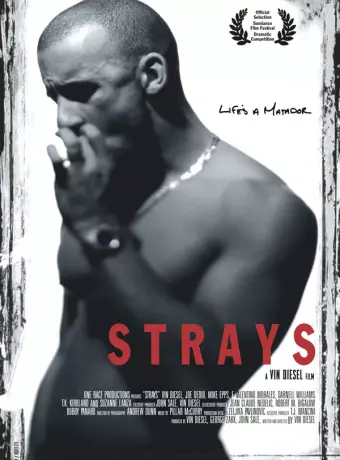 Бродяги / Strays