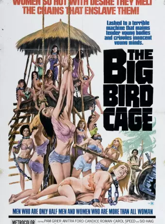 Большая клетка для птиц / The Big Bird Cage