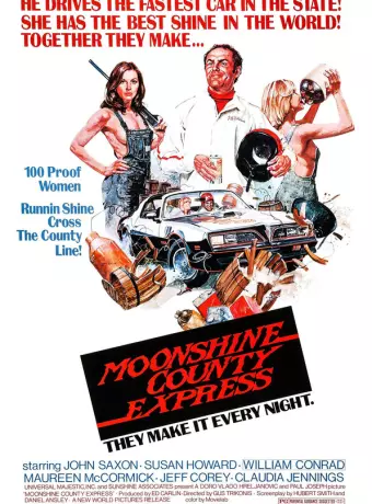Экспресс в Лунном округе / Moonshine County Express