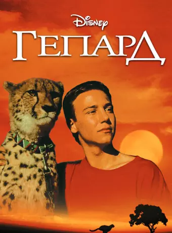 Гепард / Cheetah