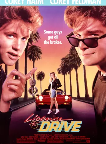 Водительские права / License to Drive
