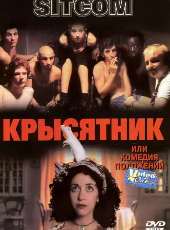 Крысятник / Sitcom