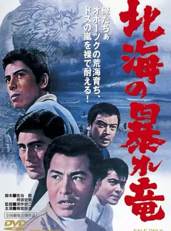 Дракон, буйствующий в Северном море / Hokkai no Abare-Ryu